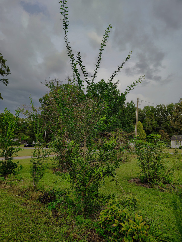 IMG 20260922 175916177 HDR AE 2