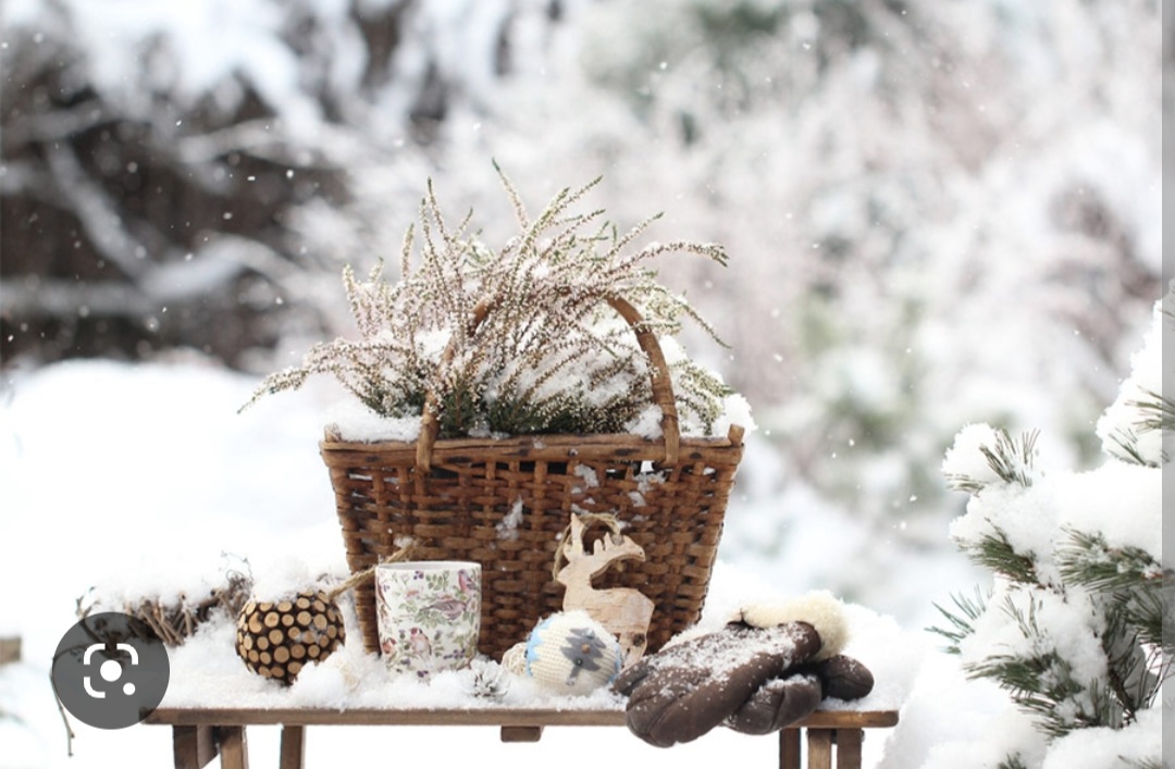 Screenshot_20221125-195756_Chrome