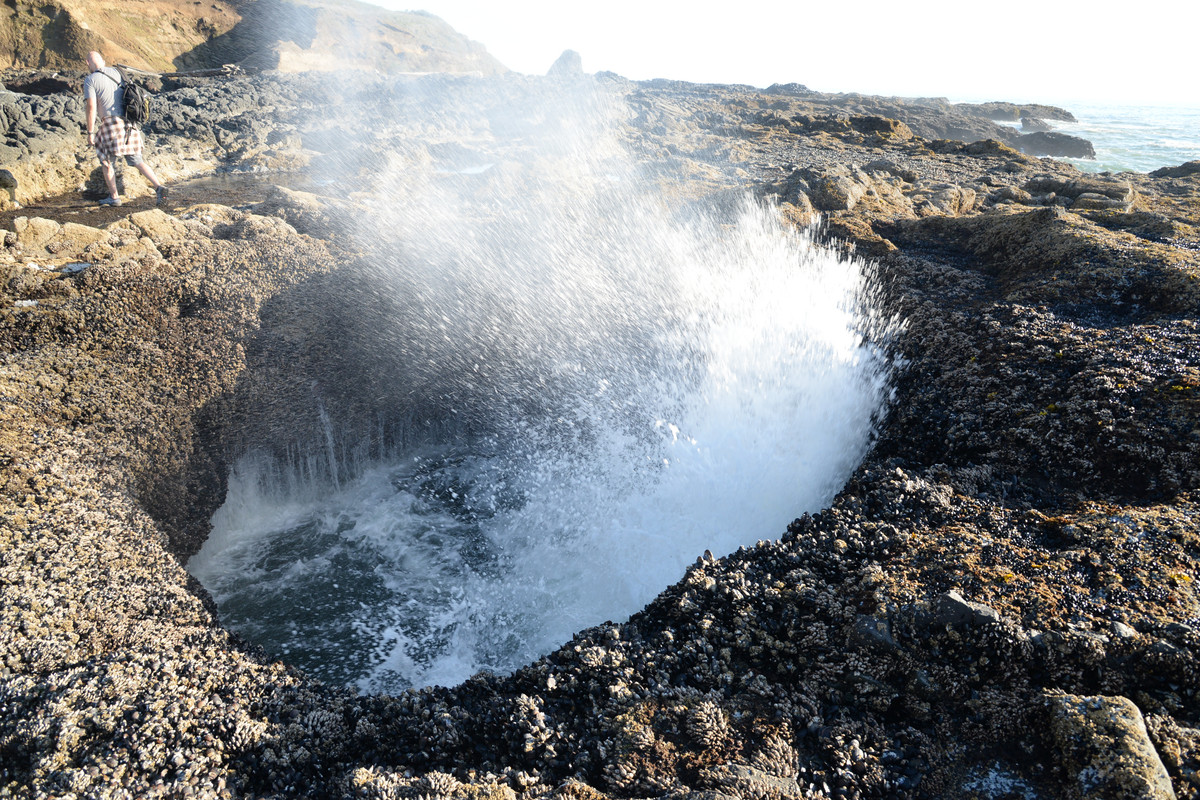Árboles gigantes, fuegos y volcanes extintos - Oregon y California norte (2018) - Blogs de USA - Portland y costa de Oregon (27)