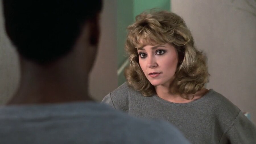 Beverly Hills Cop 1984 WebRip [Hindi + English] 480p, 720p ESub Screenshot