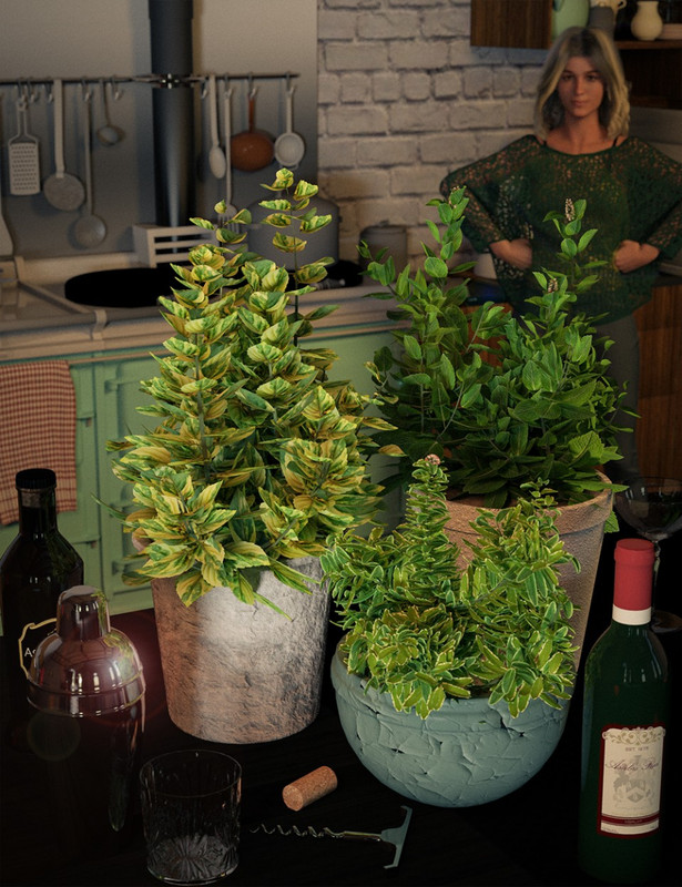 Garden Plants - Herbs Vol 2