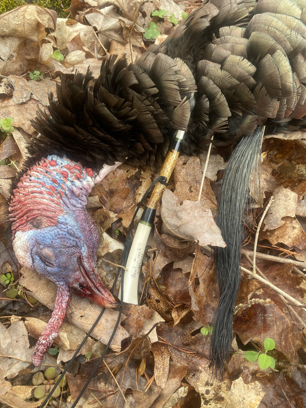 DF99C962-2BAA-415E-B704-D158E9E425A8