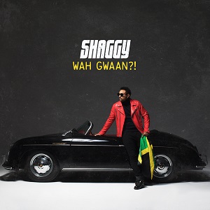 Re: Shaggy