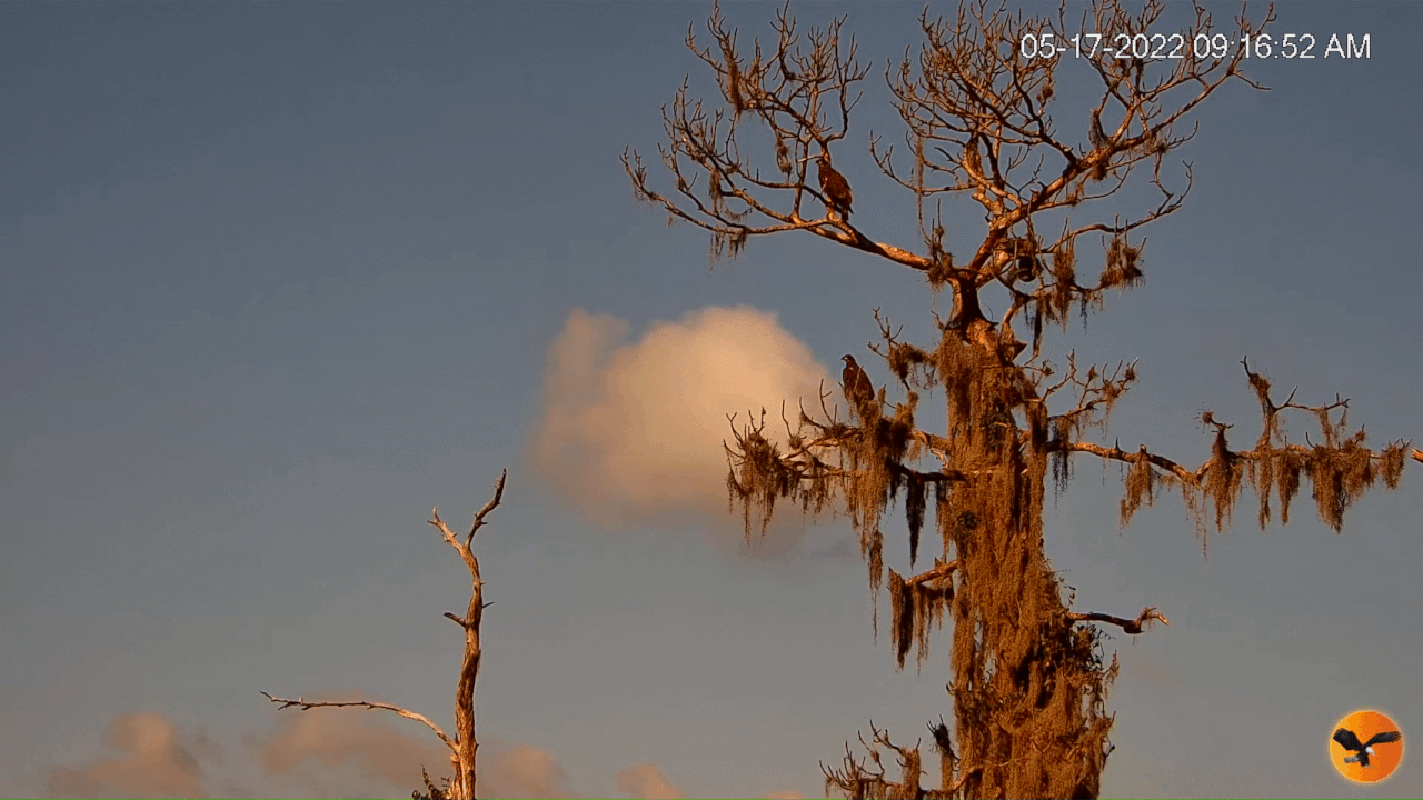 Webp.net-gifmaker (5)