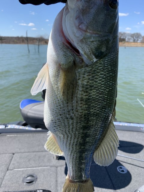 F06043C0-1274-4D0D-B386-96E5C6429ACA