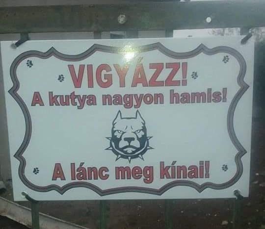 https://i.postimg.cc/BbfJskhs/vigyazz-a-kutya.jpg