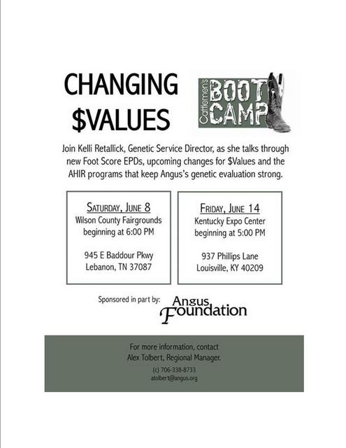 Angus Boot Camp