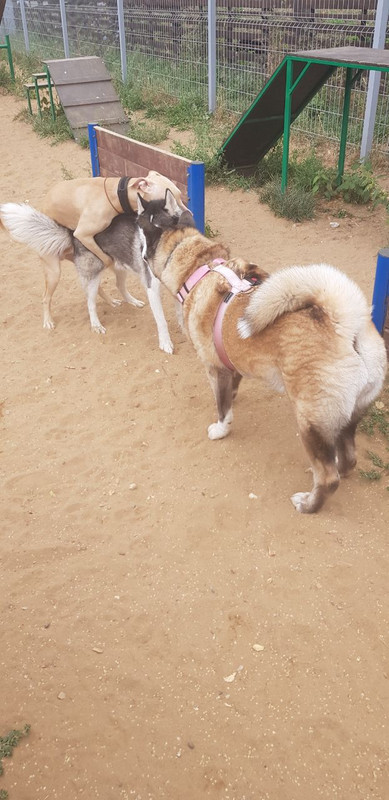 B9C54FF5-D0EE-4C1B-BC25-228F18E96730