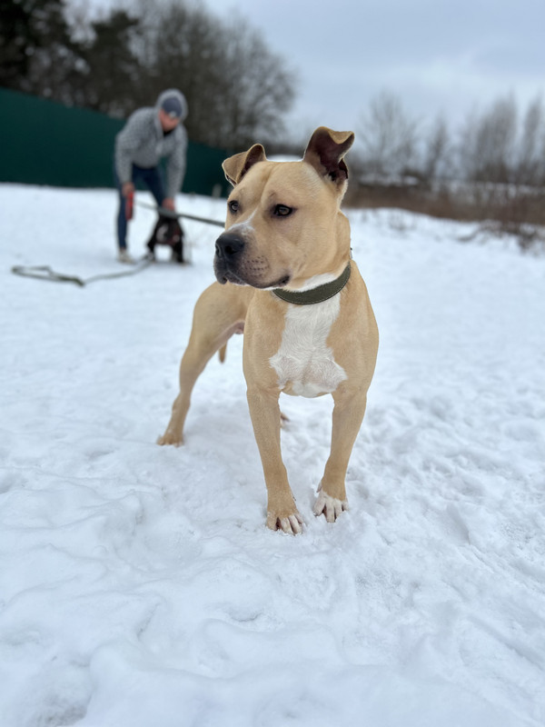 0929EB78-EC81-4A7A-A398-F0C52ADD42C1