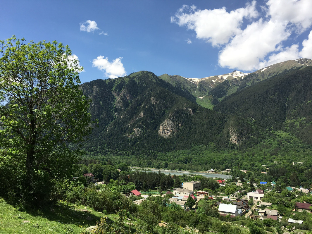 C3593EAD-B1FB-4FE7-AC95-D403E4107325