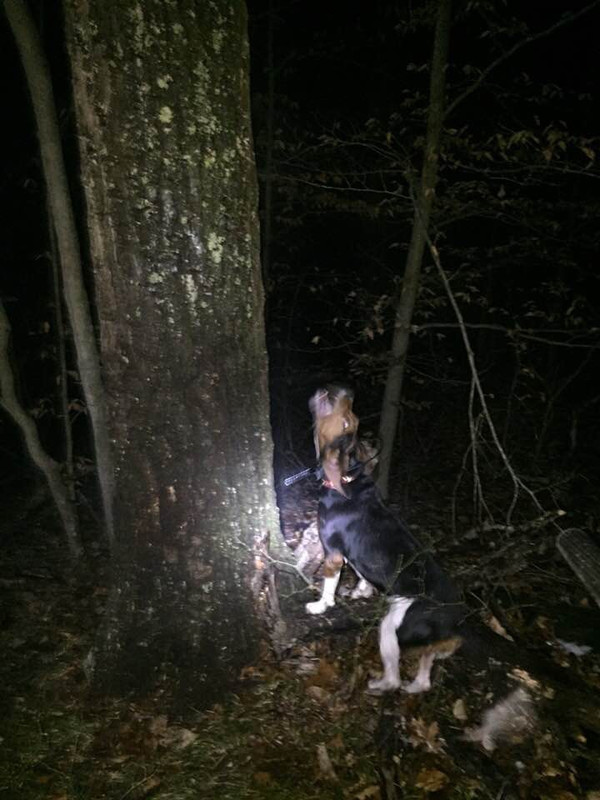 90264B34-6614-4D53-9FFB-FA7F7F01EDAA