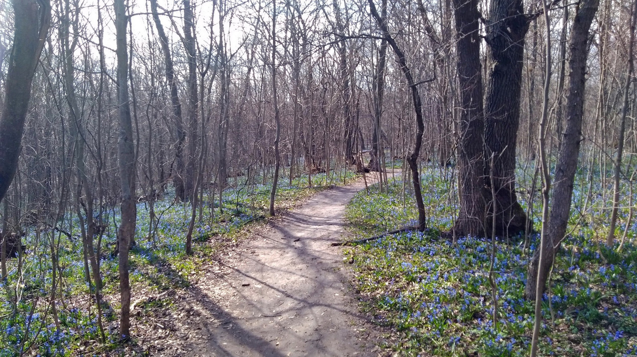 0FAB0A18-2A53-4653-99D2-FF69F63EE6D6