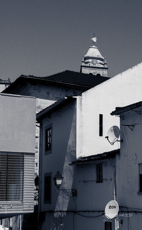 HIve-Bn-W-03.jpg
