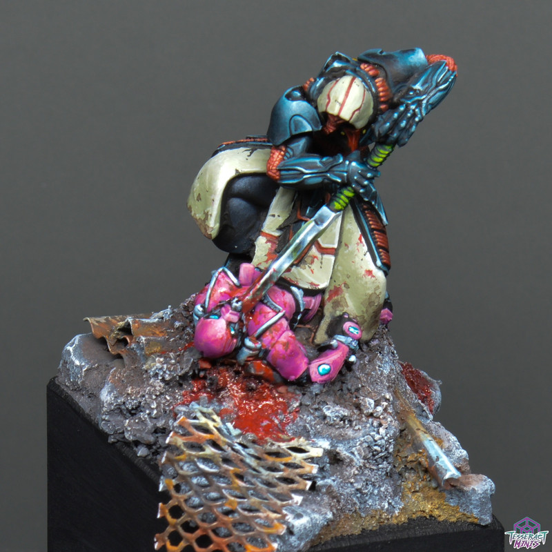 Tesseract 584441232 1214755304037499 2010295303287441686 n