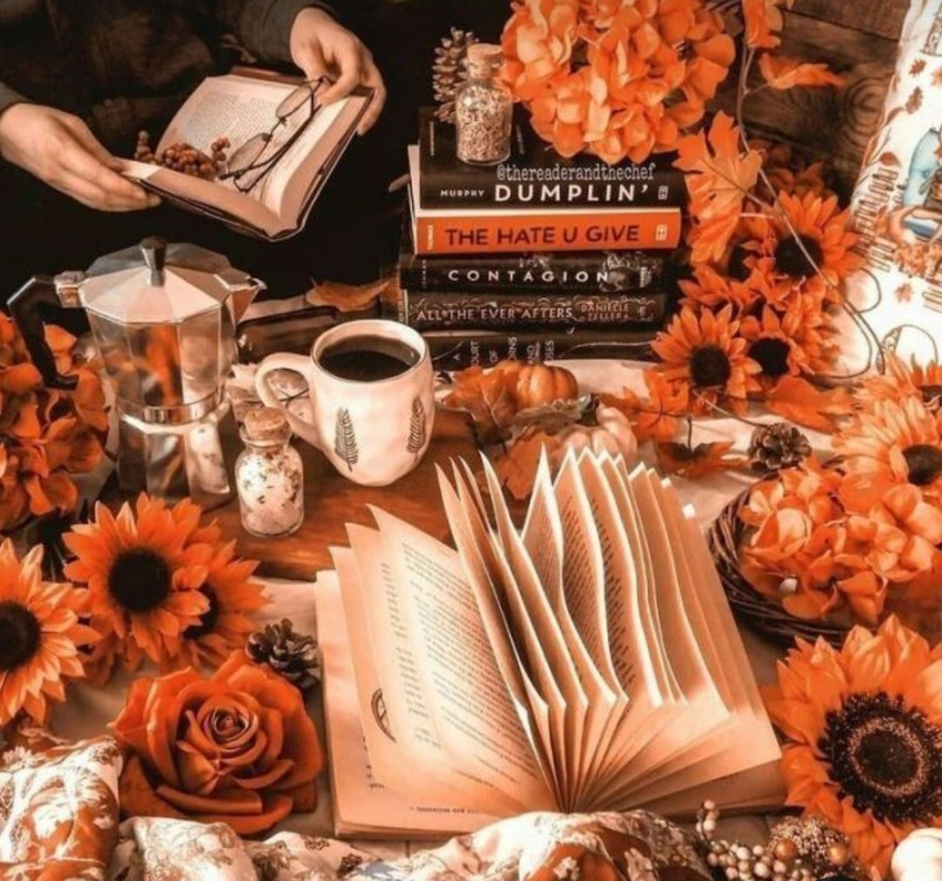 Screenshot_20230219_195606_Pinterest