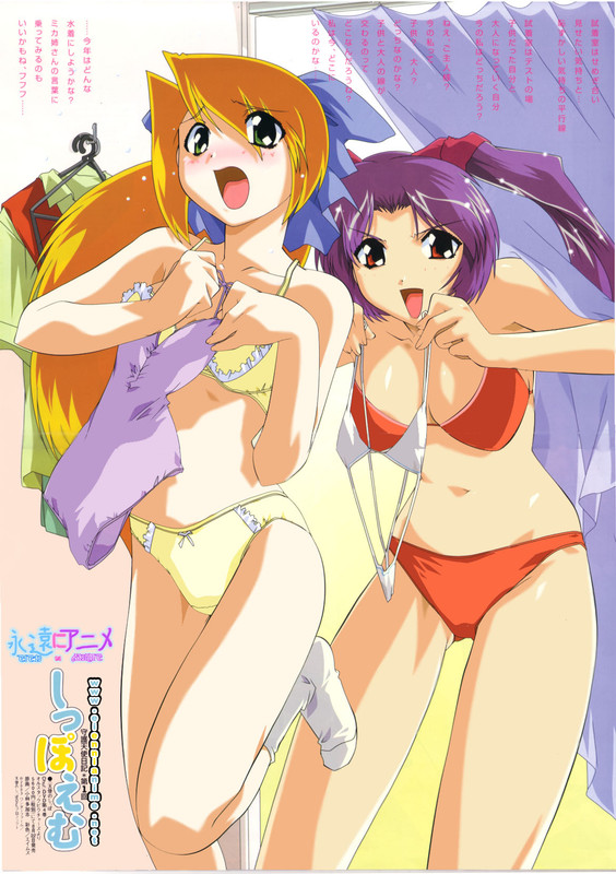 usagi-no-mika-and-kitsune-no-akane-tenshi-no-shippo-drawn-by-kobayashi-takashi-788738840413113212