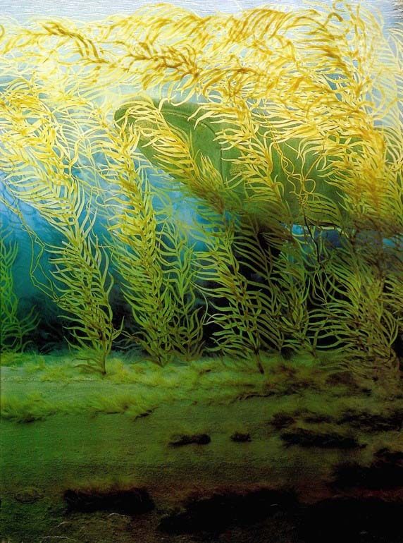 main-qimg-5c9160177a223f6a6db94b11fb281083-c