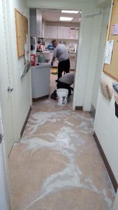 Upholstery cleaning (4)