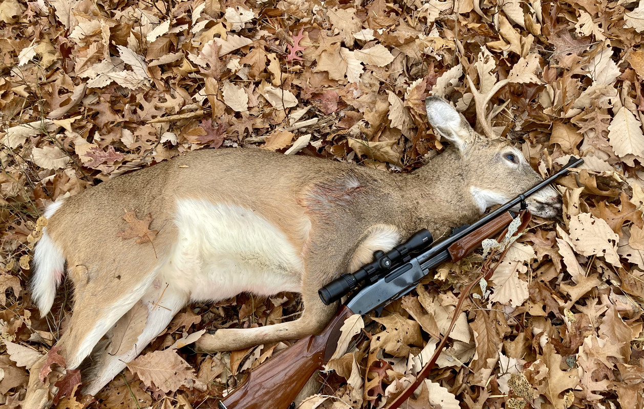 356A52B2-D4C8-4747-9D95-F8BECADE4E1B