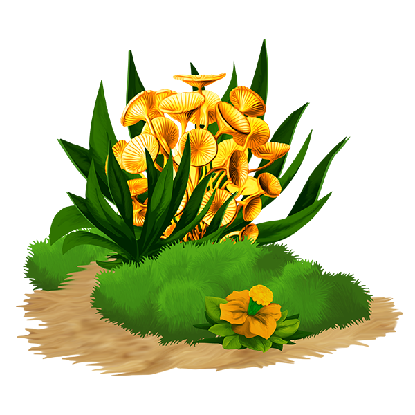 KBK_AdventureIsland (145)