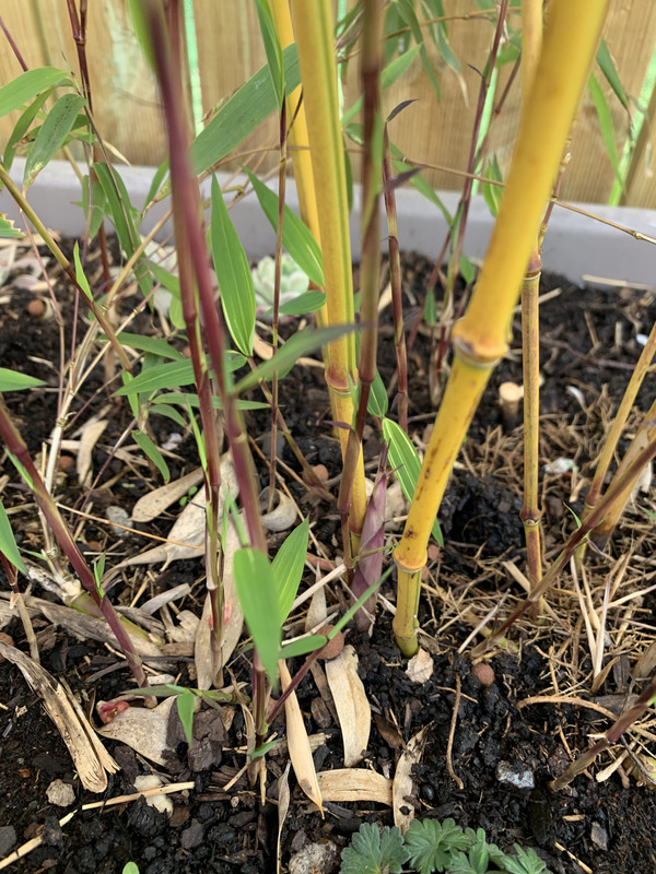 618F3280-2F60-4C5E-882C-9CADA25BB753