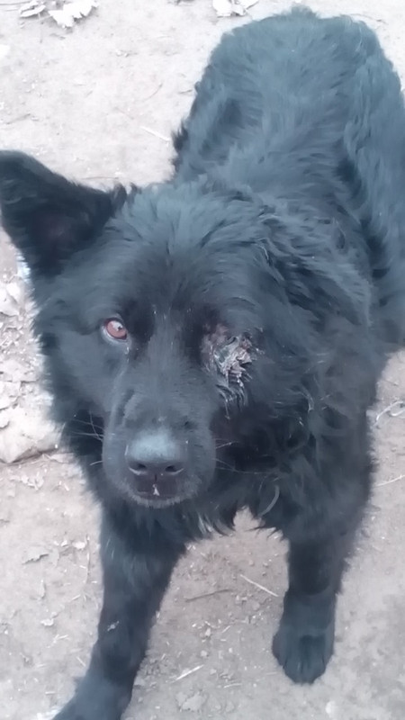 AB801D5B-9342-471F-8A60-47FF9A66E0B7