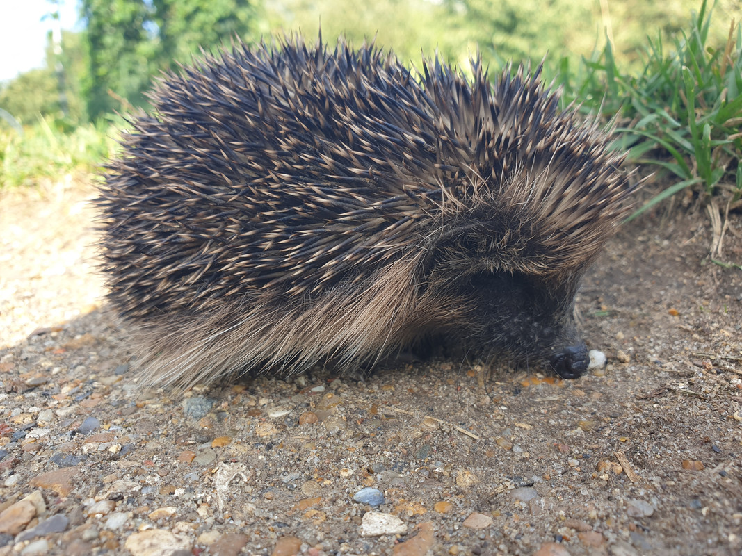 5FD1C0F8-D4B9-4C2D-AD59-908BF0225968