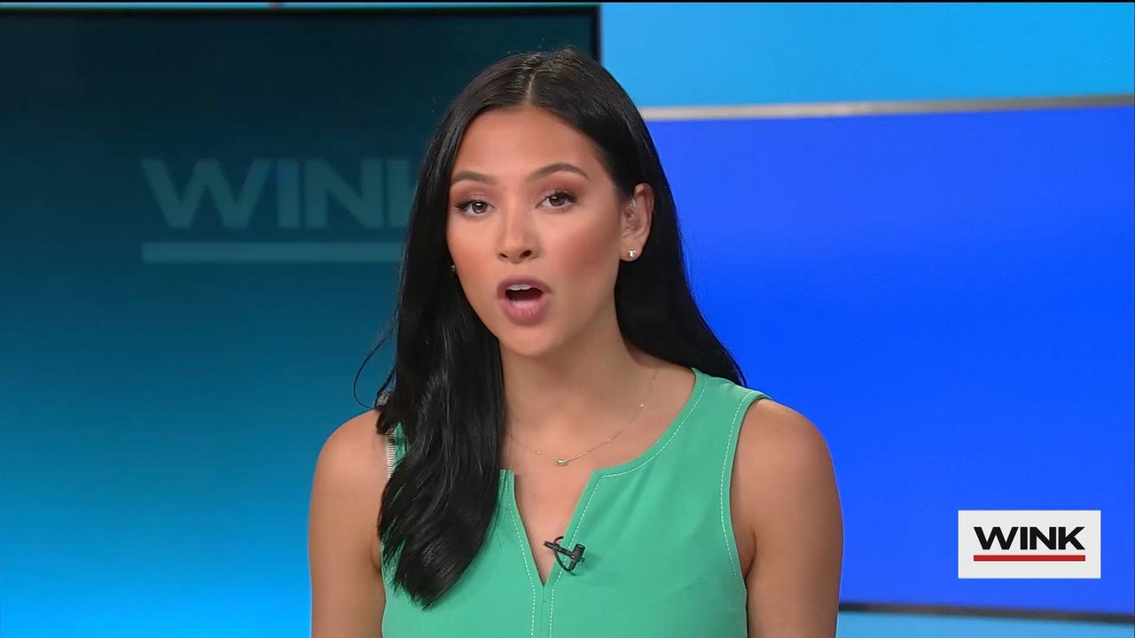 WINK News at 11 00 p.m. 2022_08_09_04_00_00.ts_snapshot_11.58.960