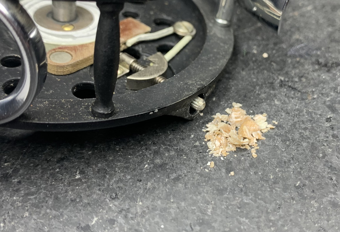 756A1E2D-7A09-4E76-9B82-8C2F91E30387