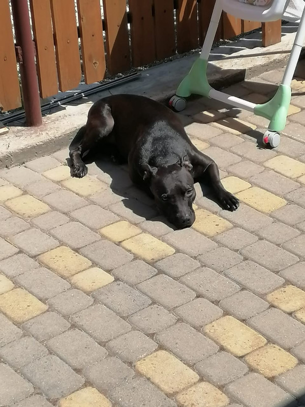 16F6D025-CFEE-411A-A871-DDDEE891C6B4