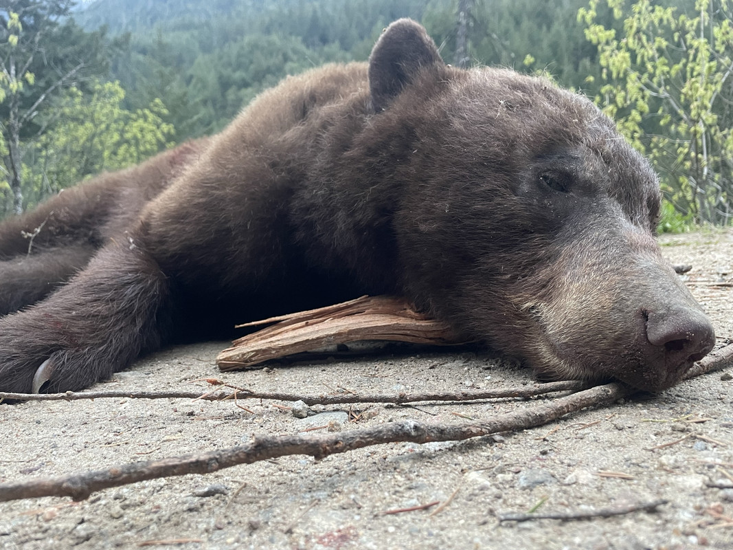 36CB472A-9AA3-4AC5-8B1E-FEEE08EA83E9