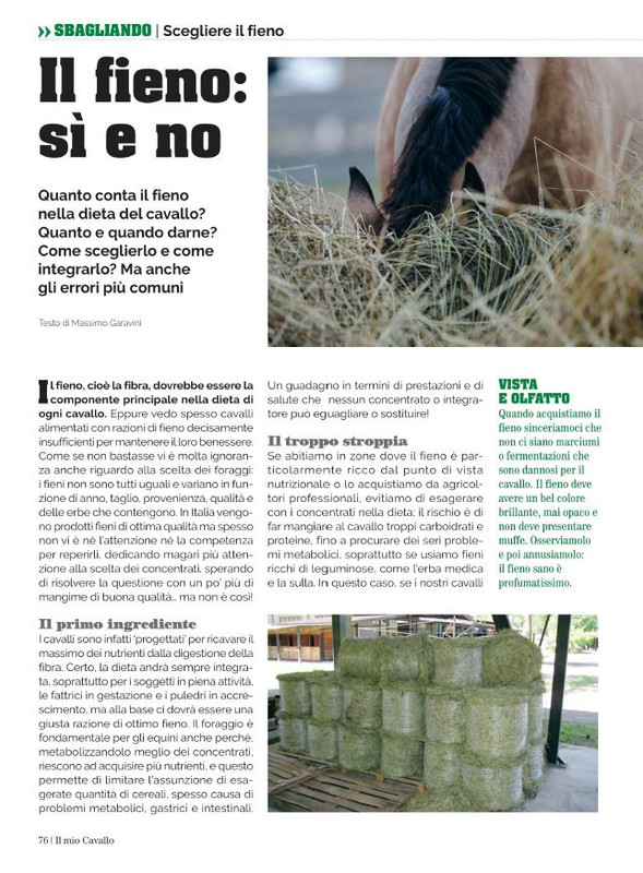 Il Mio Cav (Ott 2022) (11)