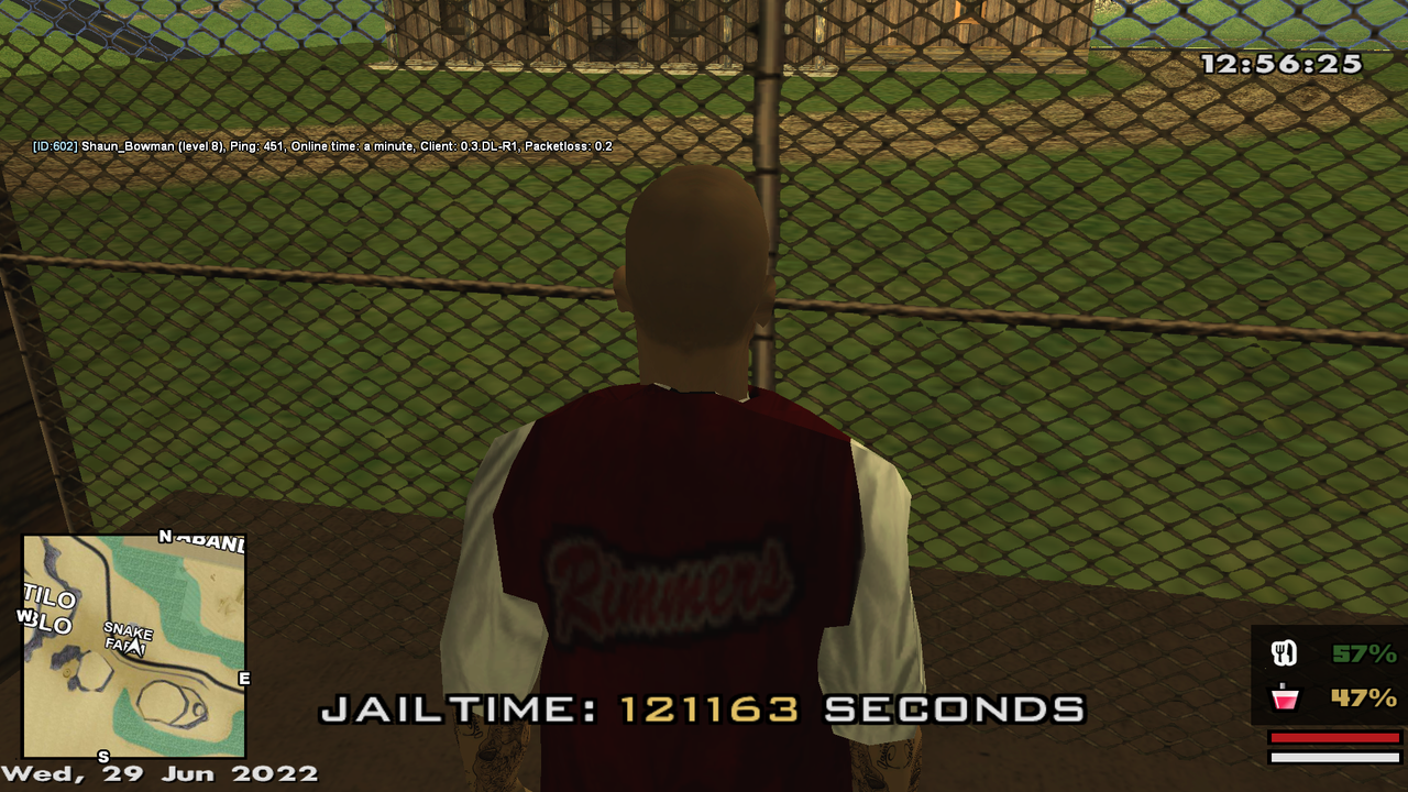 samp-29-06-2022-12-56-25.png