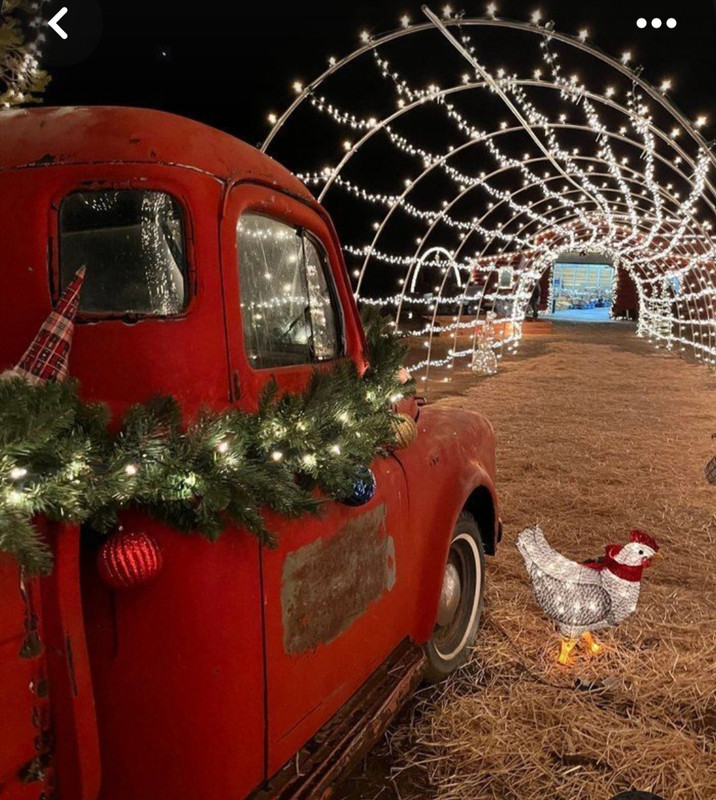 Screenshot_20231124_214116_Pinterest