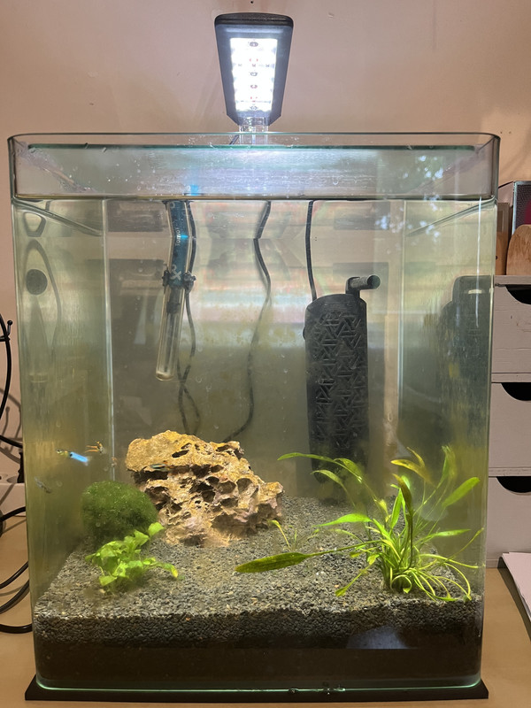 7A7581FB-4351-48D9-83C6-8983435BA739