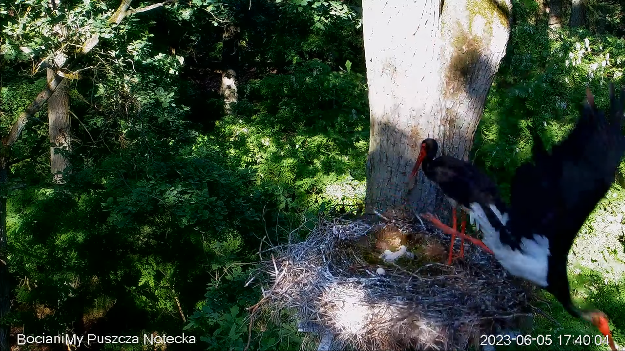 Zrzut ekranu (17364)