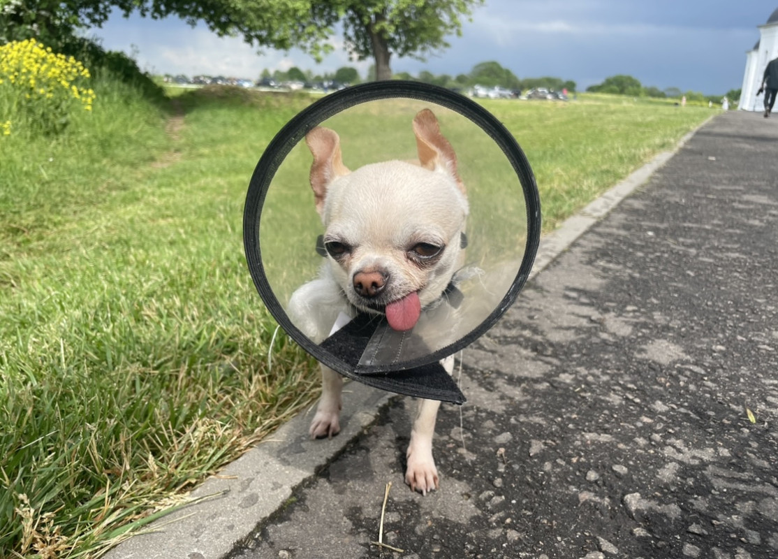 4C9E0A68-F4D3-4B86-8088-D41137B056A2