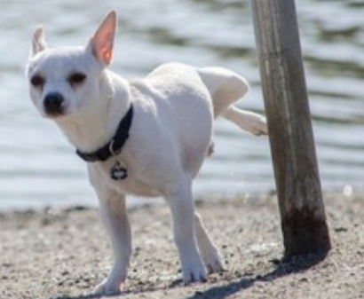 Screenshot-2021-10-24-21-45-06-445-org-m