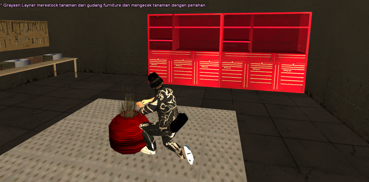 samp-29-08-2024-05-03-03.png