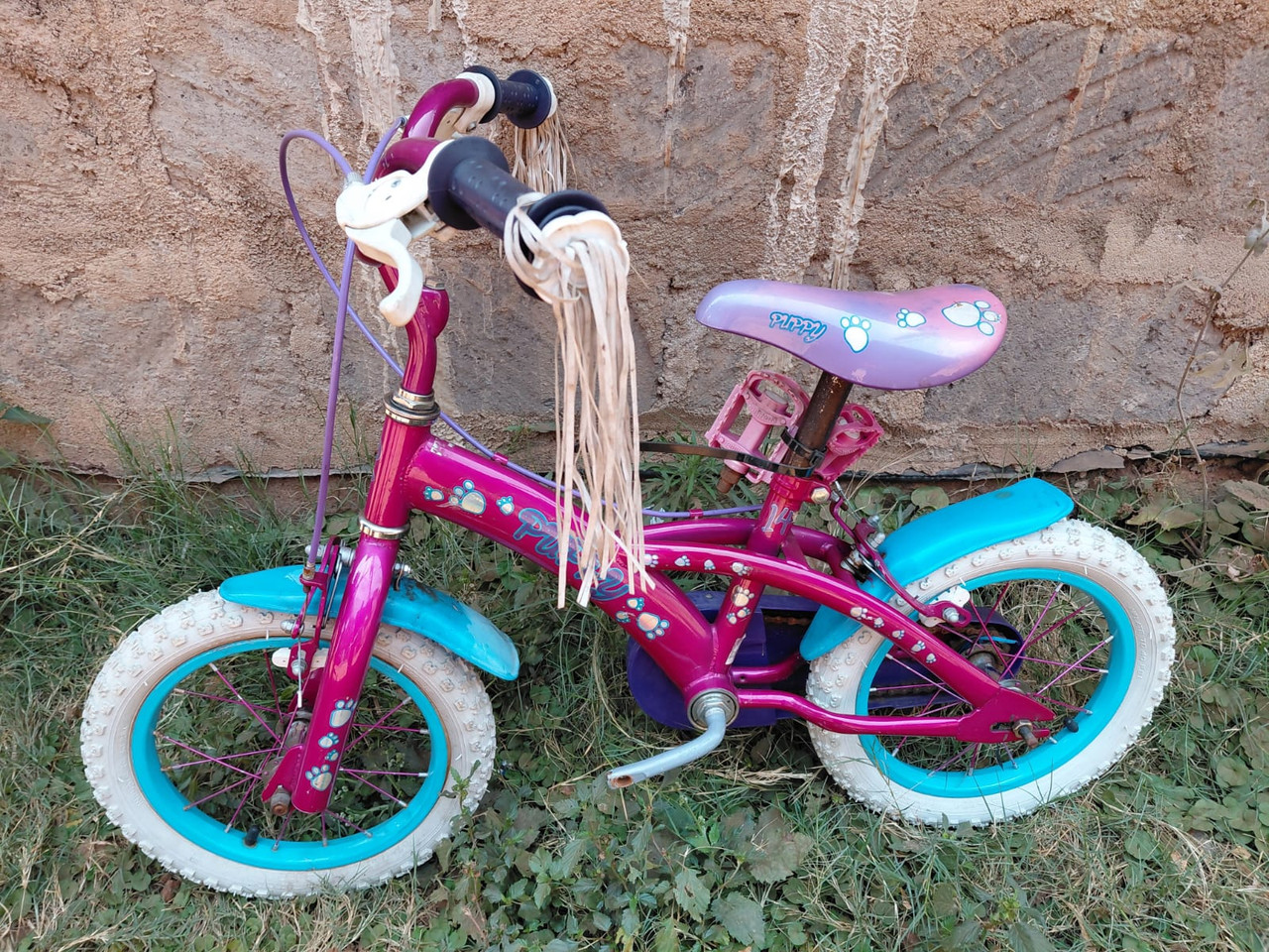 14"Puppy Kids Bike