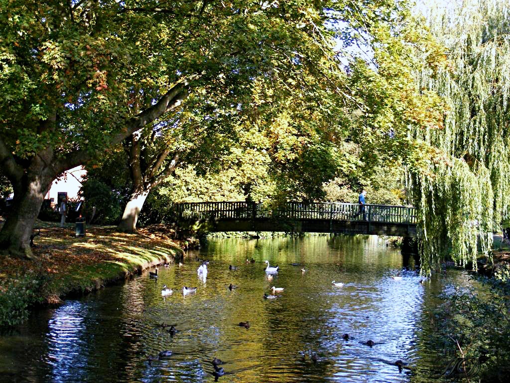 Autumn-NJ-Bridge-park-HD.jpg