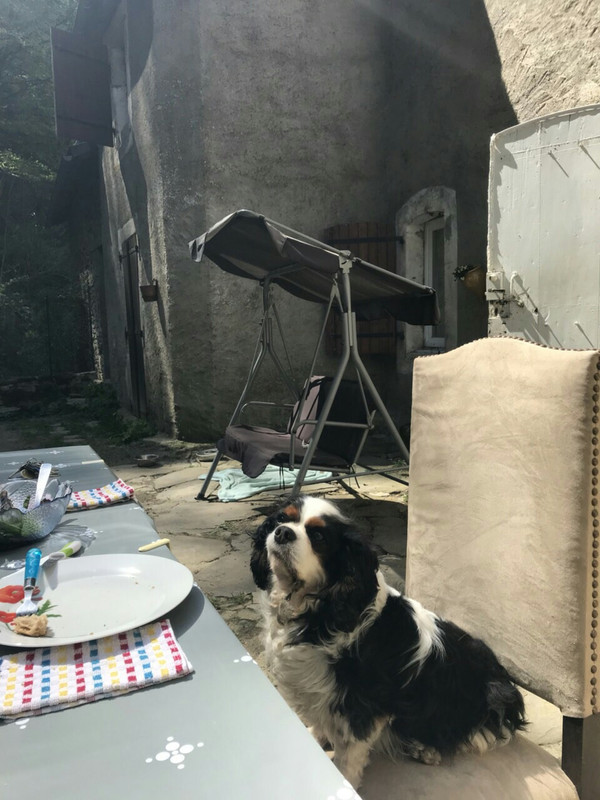 F421D2B4-2987-4BD4-A59B-E72F16300625