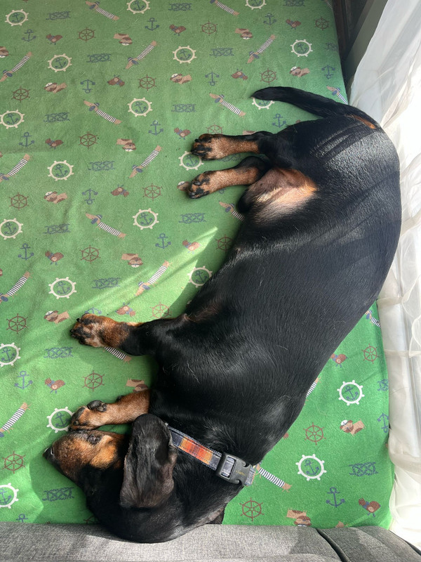 [Image: IMG-20250408-WA0006.jpg]