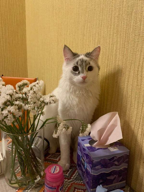 6E9E9649-EC35-4681-A6B4-9375B98CAA58