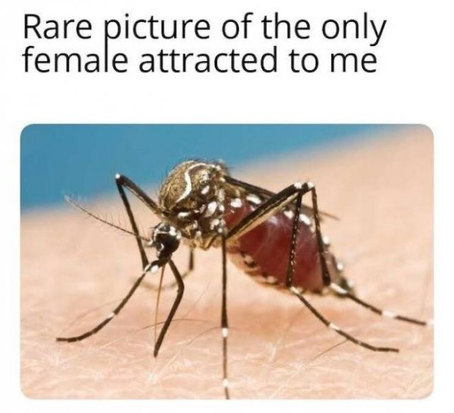 Facts-1