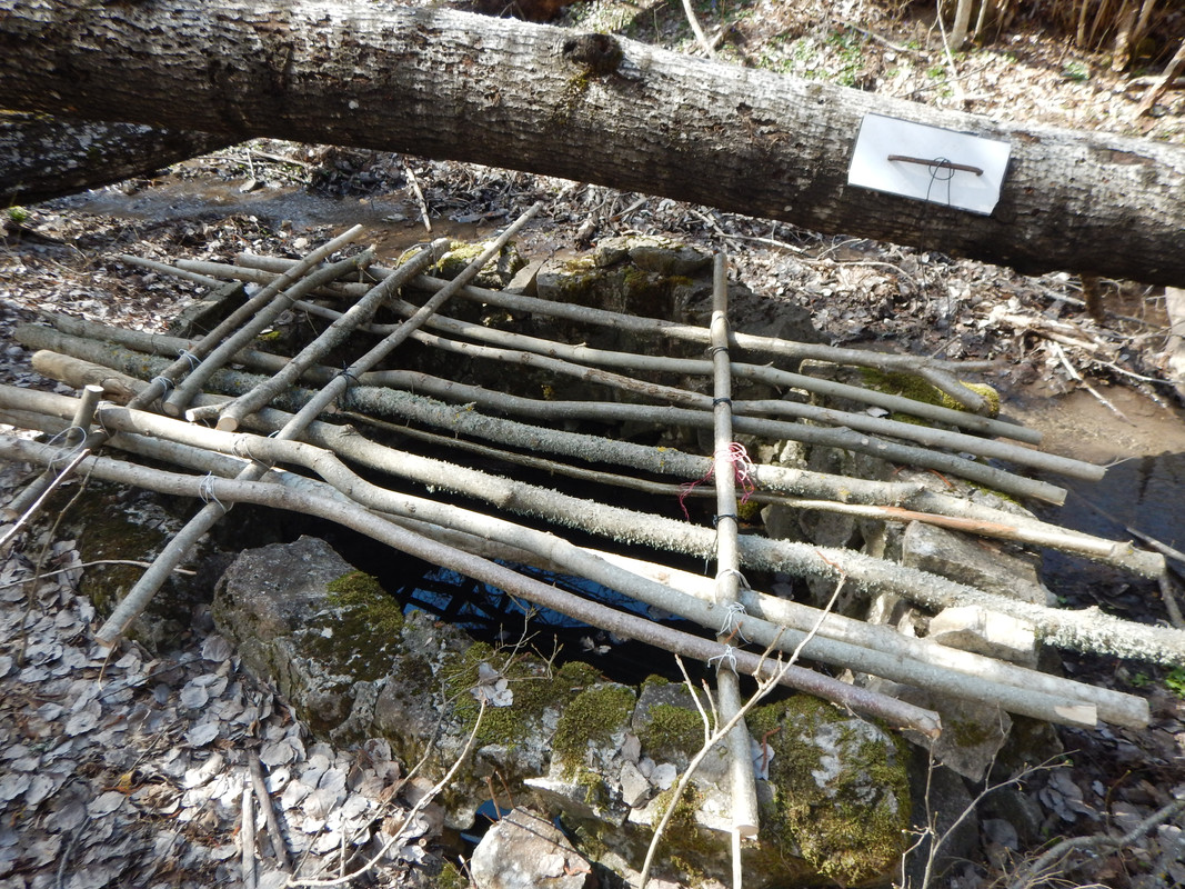 Гороховая дача 015