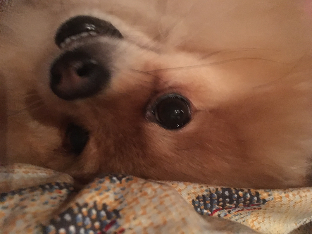 7F081258-D7D3-4343-9BF5-CC27528316E1