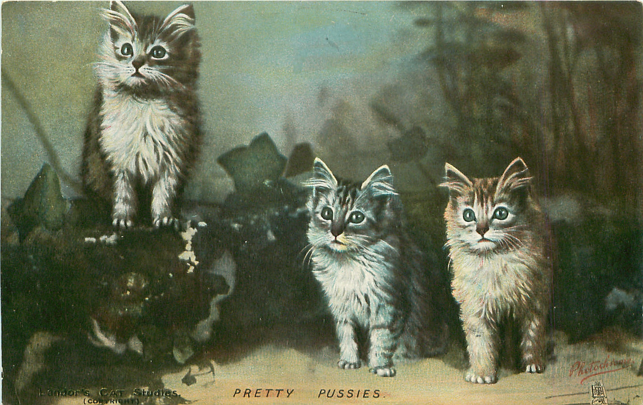 14-2011-06-15-17-34-18