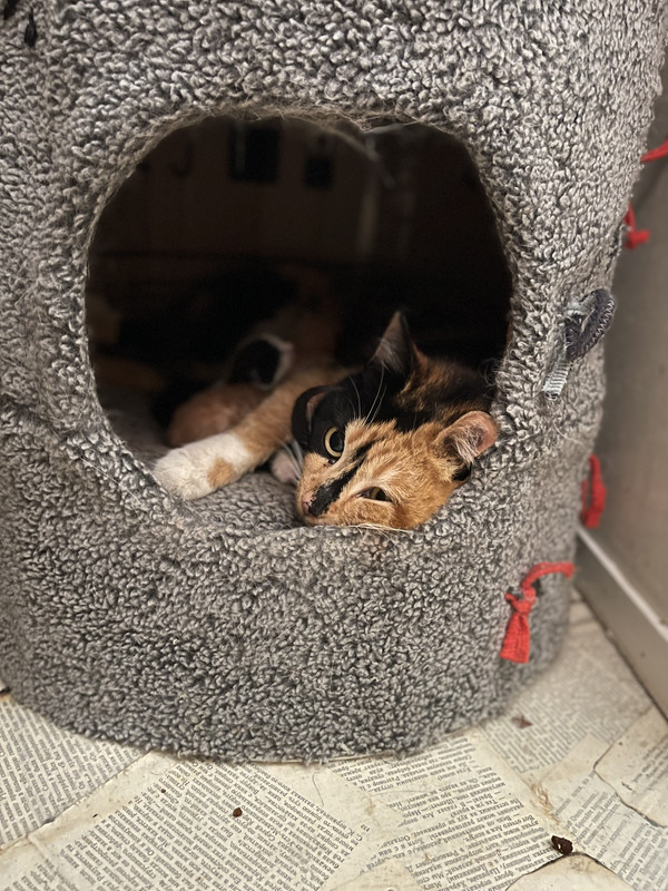 D53EA7D1-6838-4F5A-8153-1D6F9CCFEB9A