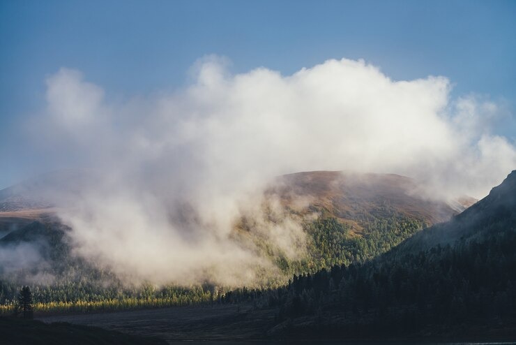 The Science Behind Fog Formation